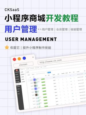 小程序開發(fā)崗位解析 從技術(shù)到維護的職業(yè)全景